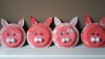 /album/fotogalerij-fotos1/a20150402-101853-jpg/